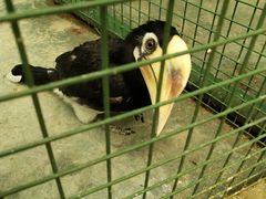 -西安秦岭野生动物园