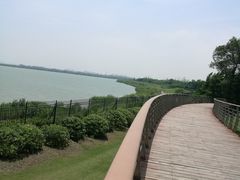 -江滩湿地公园
