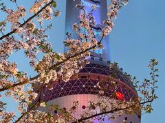 -东方明珠广播电视塔