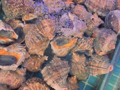 -金海湾海鲜排档(朱家尖店)