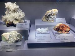 -湖南省地质博物馆