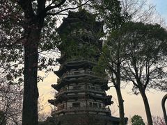 -洋湖国家湿地公园