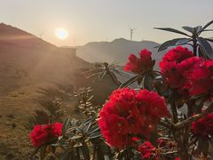 -乌蒙大草原