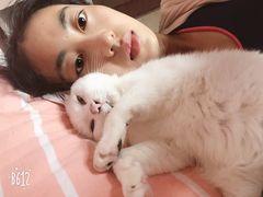 -宠爱国际动物医院·消化内科·心肾内科·ISFM猫友好(望京店)