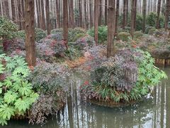 -上海怡沁园度假酒店
