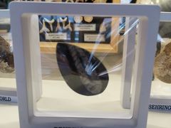 -陕西自然博物馆