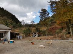 -四明山国家森林公园