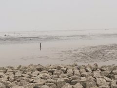 -南汇嘴观海公园