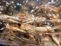 -蟹之国·精品蟹料理(极地店)