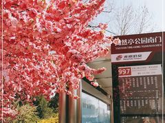 -陶然亭公园南门停车场