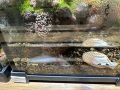 -五合院·整点烤肉