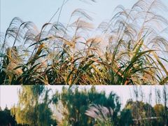 -千龙湖生态旅游度假区