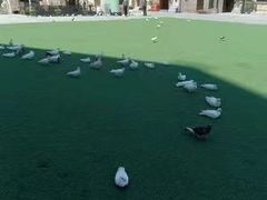 -华谊兄弟（长沙）电影小镇