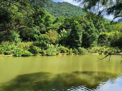 -深圳仙湖植物园