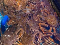 -忆江南·临江鱼馆