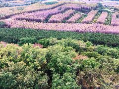 -帽儿山国家森林公园