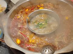 -一斗火锅·招财羊毛肚(泰吉滨江店)