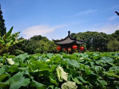 -丝绸小镇荻港古村