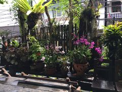 -自然餐厅(Phuket)