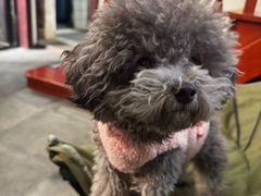 -观桥阁(锦溪店)