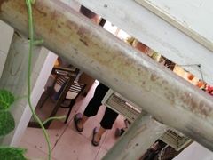 -罗家杏传统特色海南粉(人民西路总店)