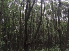 -同里国家湿地公园