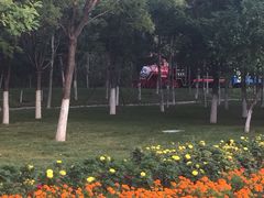 -武清南湖绿博园