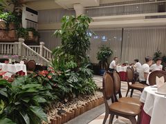 -金河半岛园林酒家(金融城店)