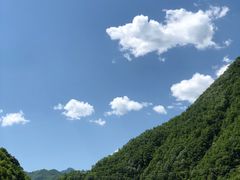 -牛背梁国家森林公园