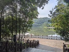 -番禺大夫山森林公园