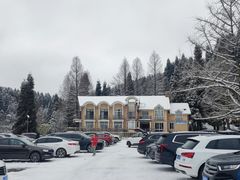 -武陵山森林公园