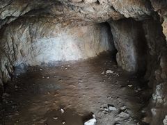 -上海佘山国家森林公园天马山园