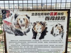 -青藏高原野生动物园