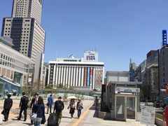 -大通公园