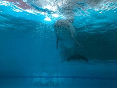 -波塞冬旅游度假区