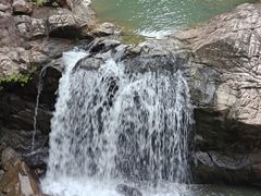 -广州白江湖森林公园