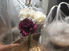 -素匠泰茶(三里屯SOHO工体奶茶店)