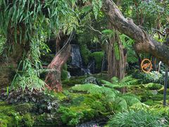 -Chom Cafe and Restaurant