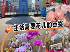 -盒马X会员店(王府井奥莱UP TOWN店)