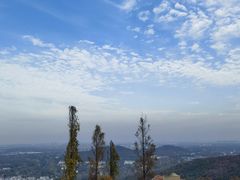 -上海佘山国家森林公园西佘山园