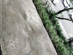 -贵州小豆腐(杨家坪总店)