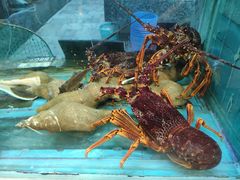 -海逸海鲜酒家(古北店)
