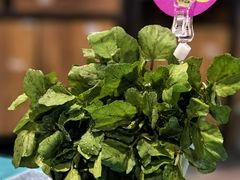 -粉灯牛腩牛杂煲·鸡煲(双井店)