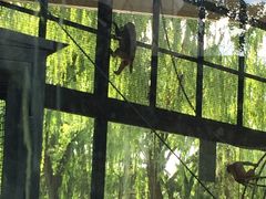 景点-北京动物园