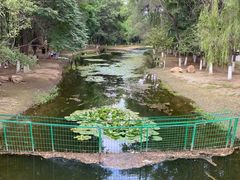 -长白岛森林公园