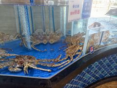 -天顺渔港·海景餐厅(星海广场店)