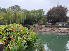 -乌镇东栅景区