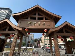 -广州神农草堂中医药博物馆