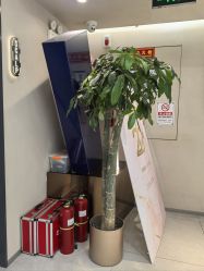 -木北造型