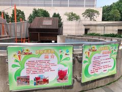 -中国福利会少年宫